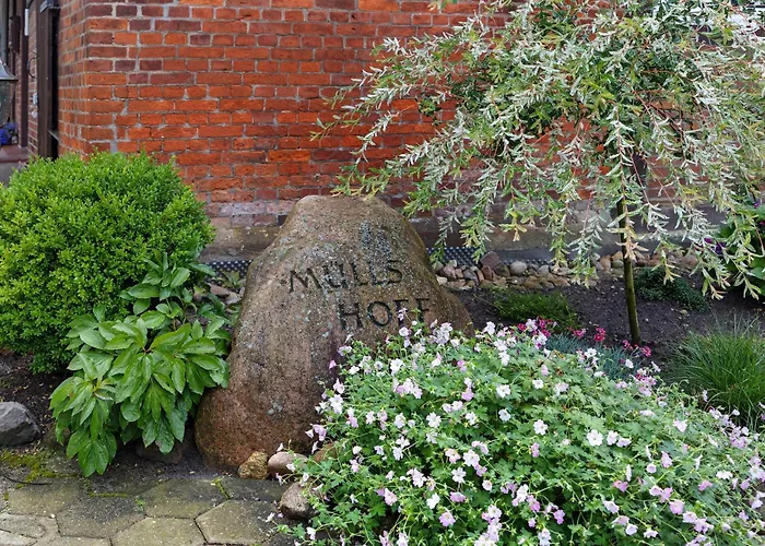 Romantische Whg In Ruhiger Lage Appartement Stelle